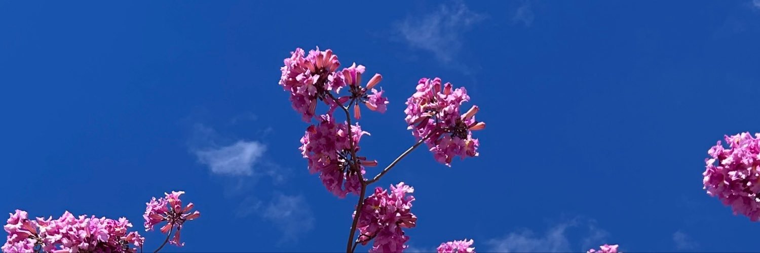 soyjerusalen's profile banner image