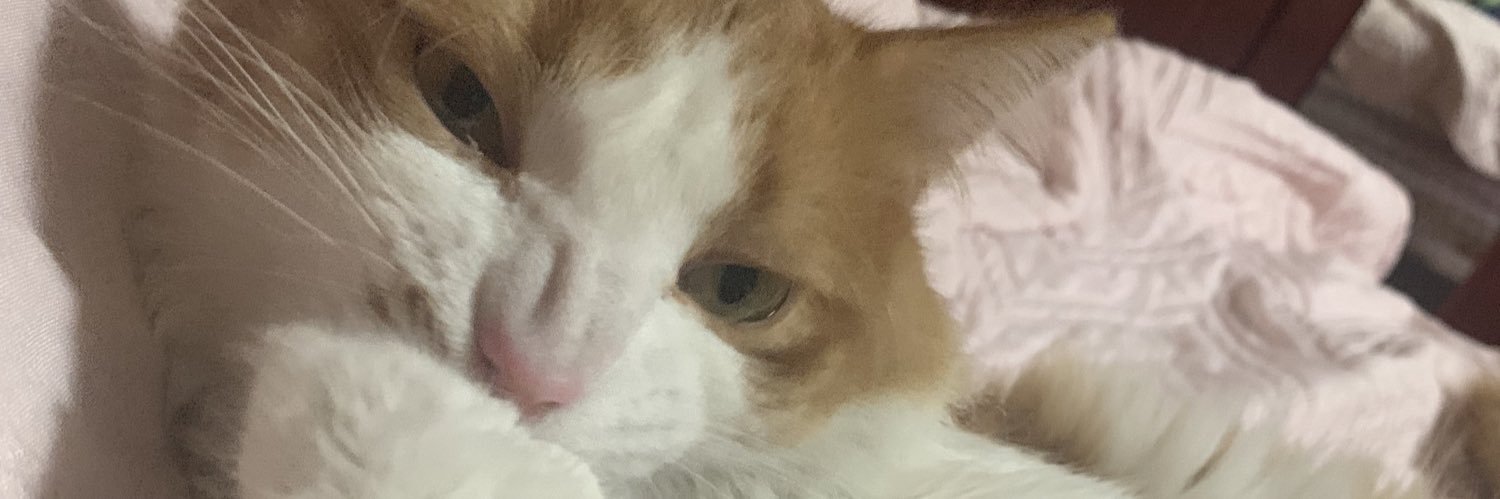 theworldofmonse's profile banner image