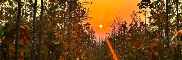 Jenifer_Vaiphei Profile Banner