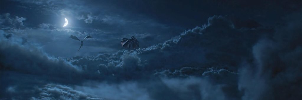 danaalseni's profile banner image