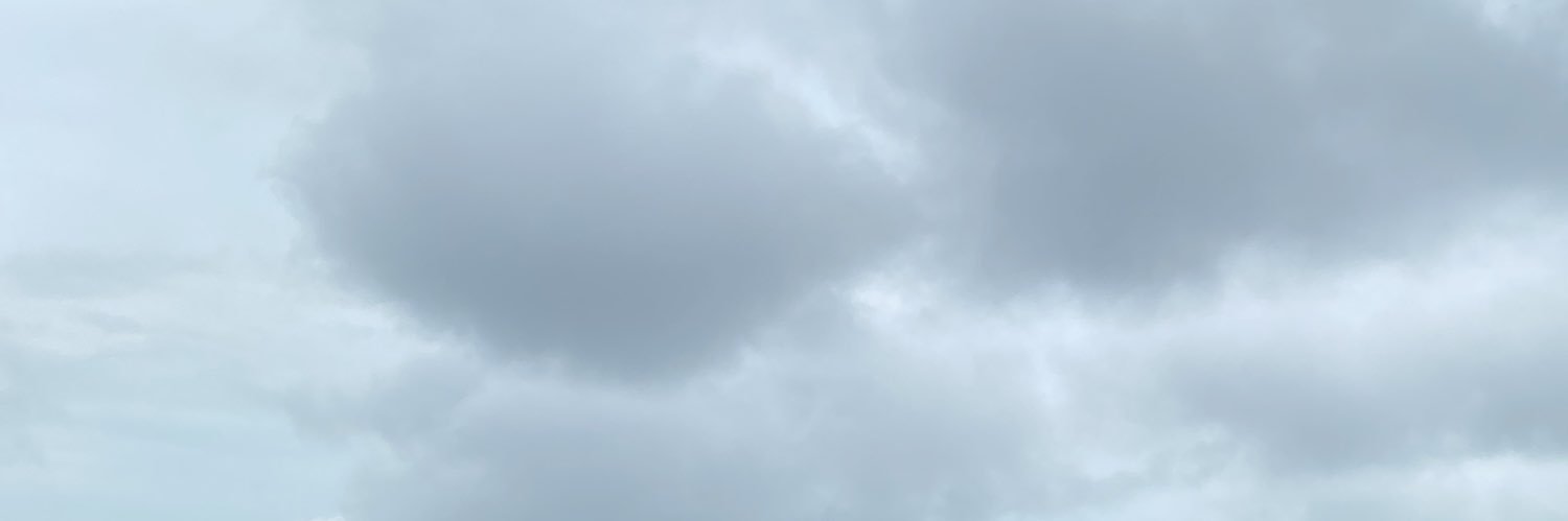 picaronesss's profile banner image