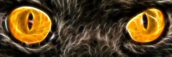 Magicc_Imagery Profile Banner