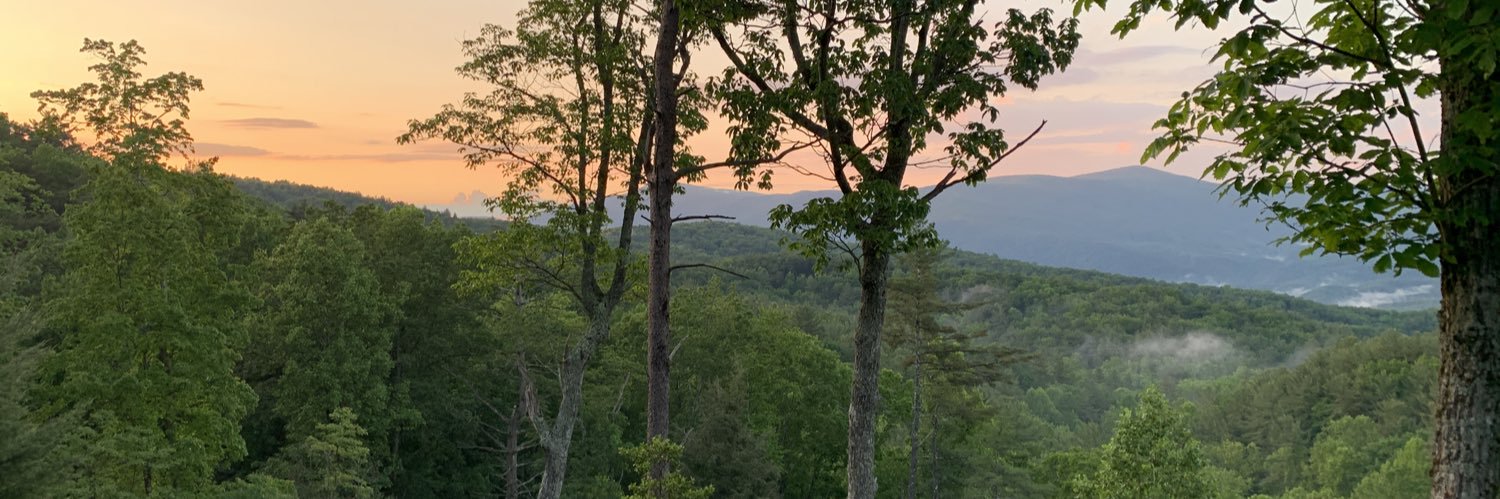 fsurach's profile banner image