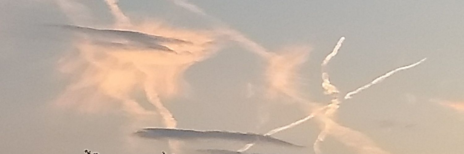 Peeedur's profile banner image