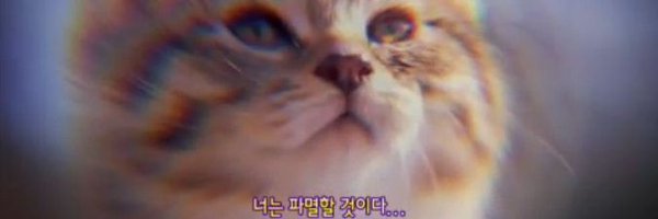 to_i_ng Profile Banner