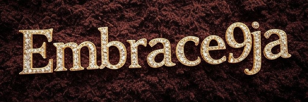 Embrace9ja 🇳🇬🖤 banner
