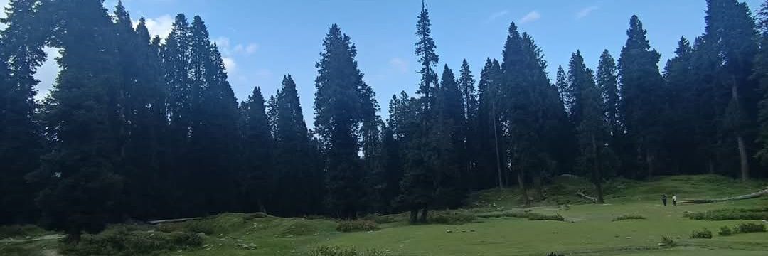 Kashmir Forecaster banner