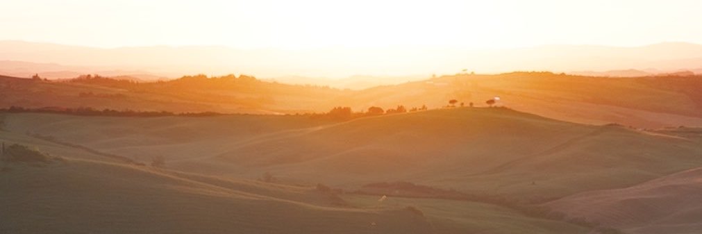 traver_zach's profile banner image