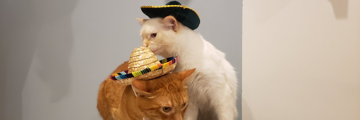 rvsigor's profile banner image