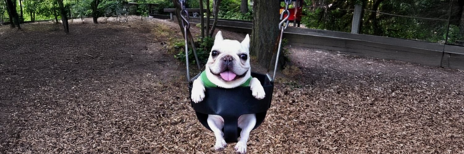 Swing Pug banner