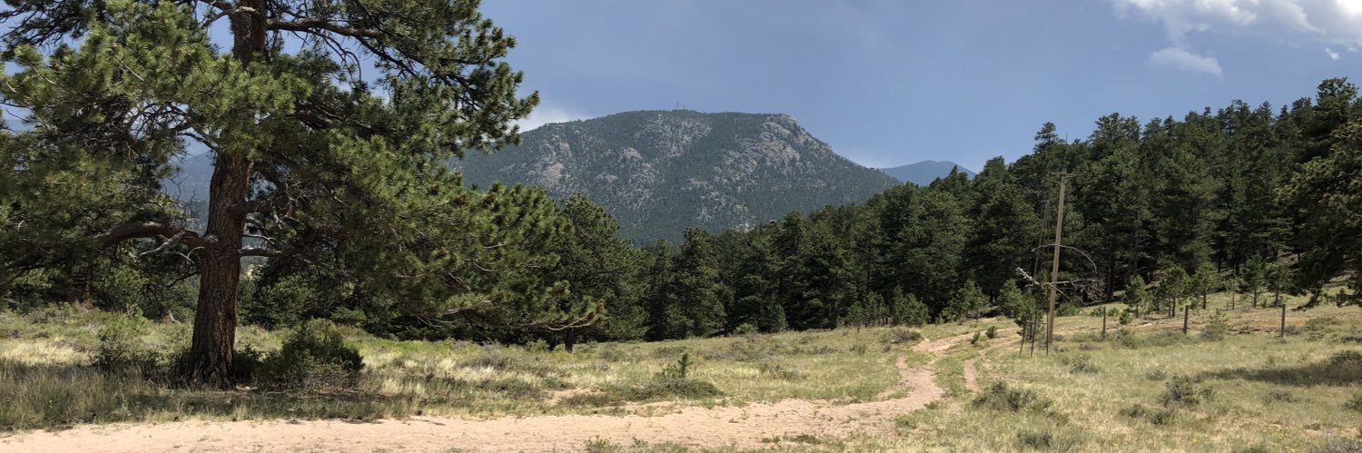 rhymes with purple banner