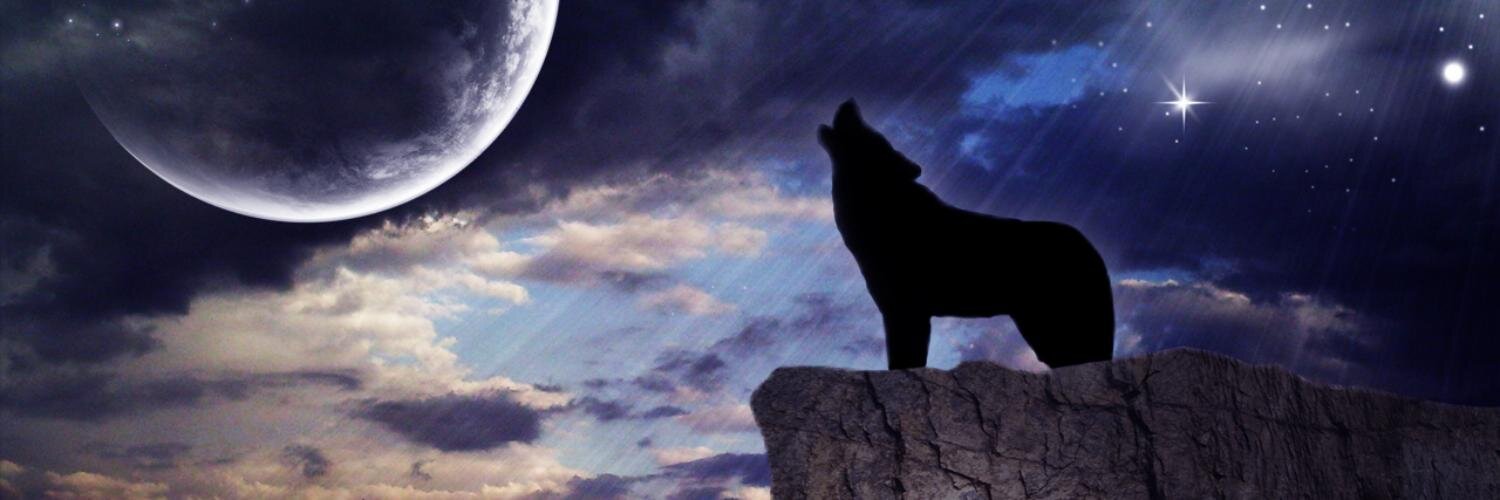 travcaldwell's profile banner image