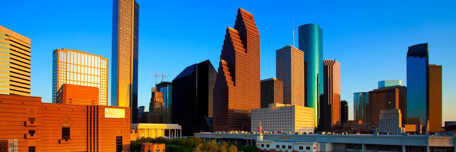 U.S. Representative Sylvester Turner banner