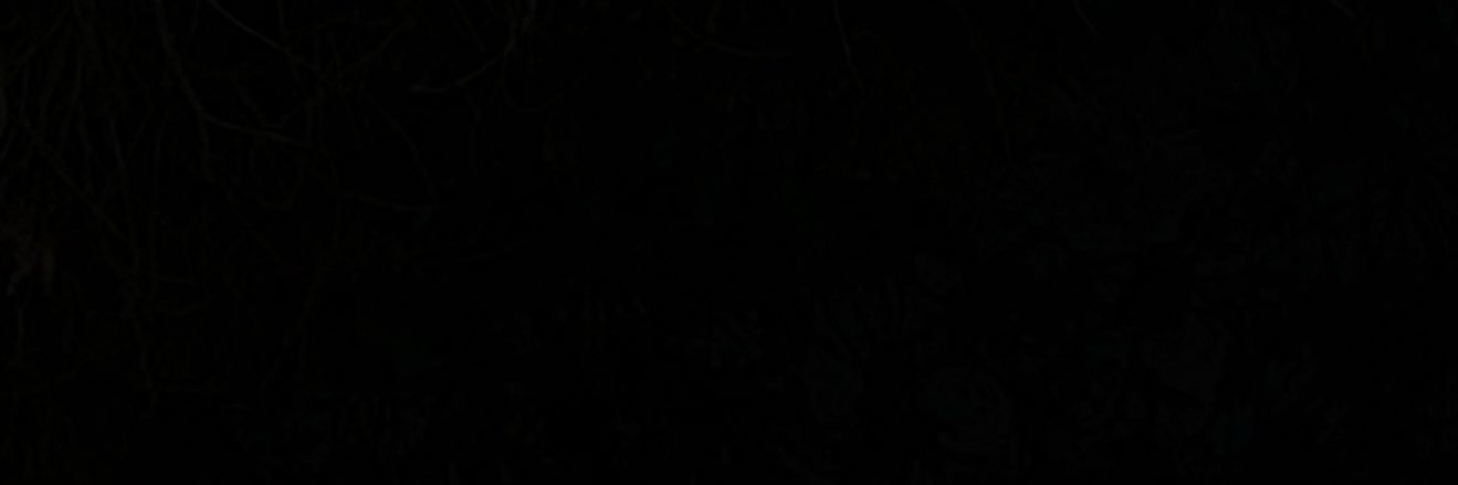 itscl0ver's profile banner image