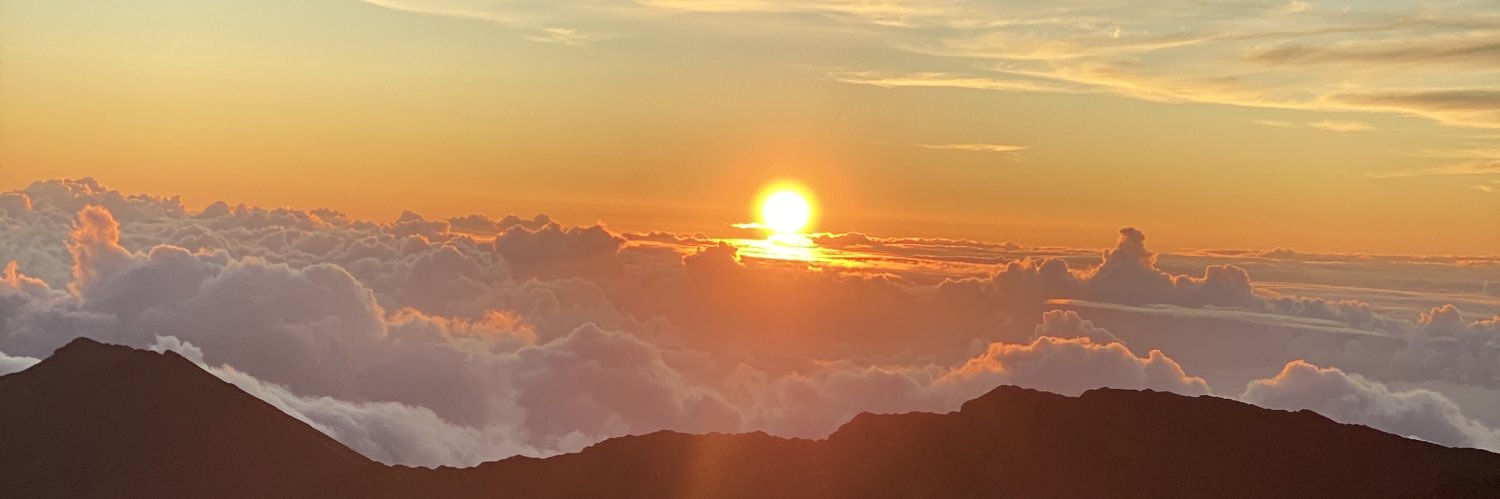 allmansista's profile banner image