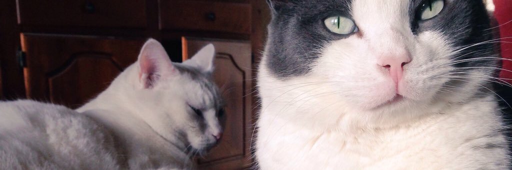 Christopher 🫨 banner