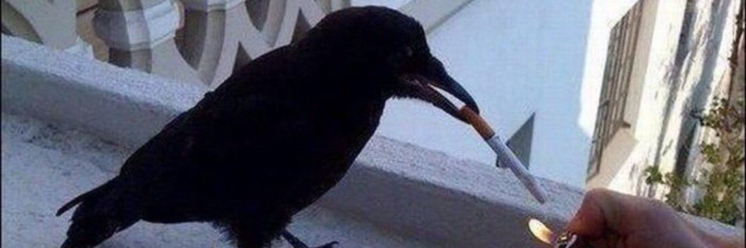 elmanucho's profile banner image