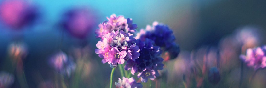 ZeynepKavaz's profile banner image