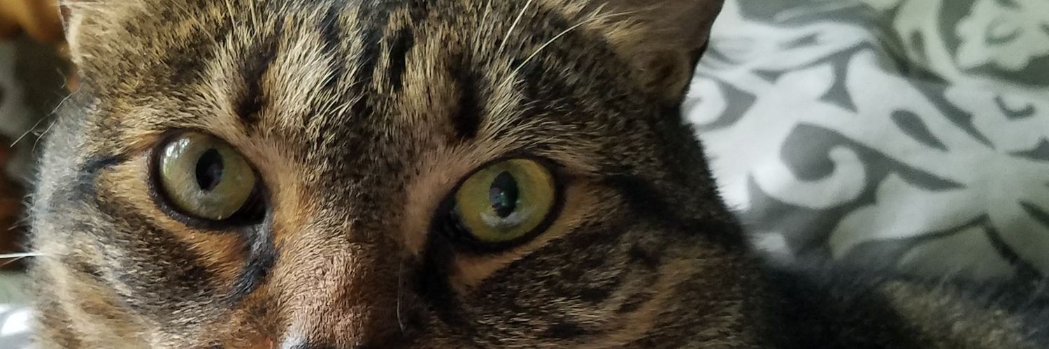 tulachard's profile banner image