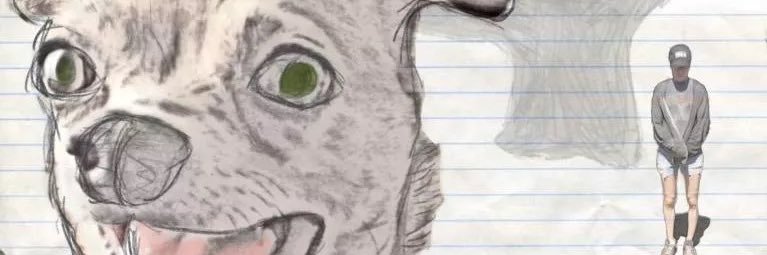 stevekahn's profile banner image