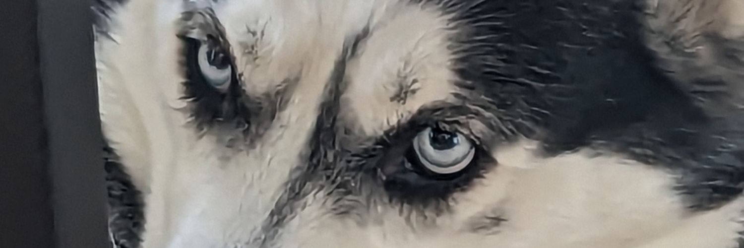 DragonClawsTNT's profile banner image