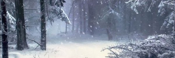 shuyaps Profile Banner