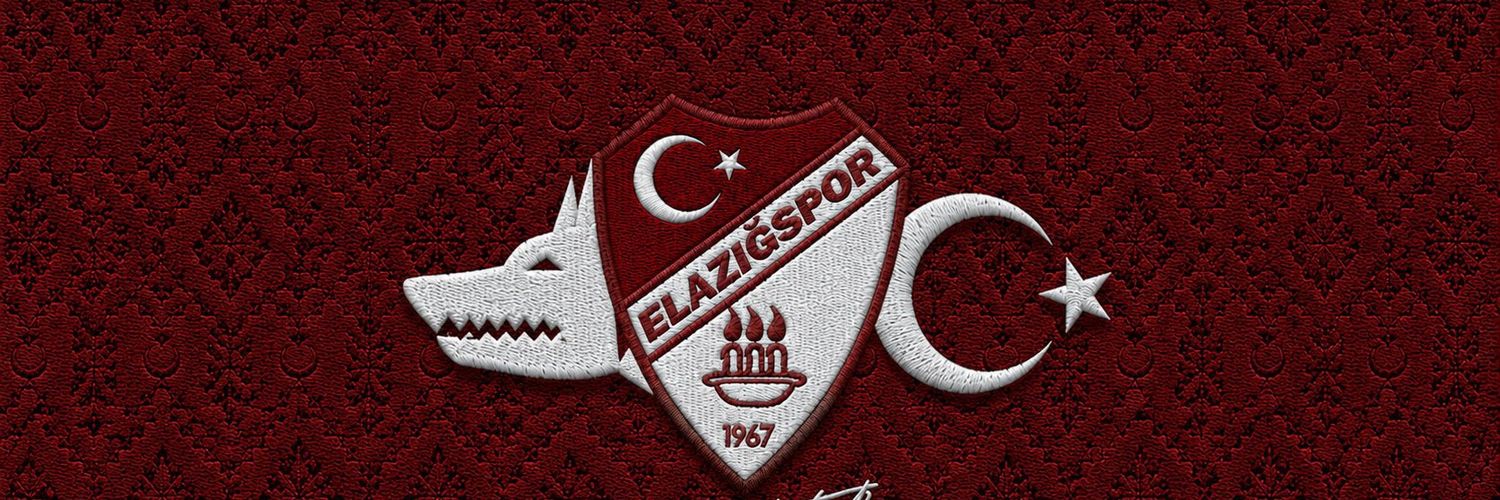 Fenerli Biri banner