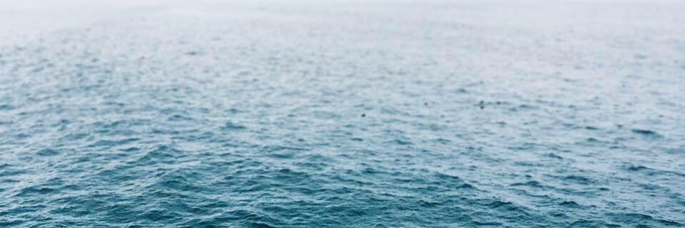 Elyse Elkins banner