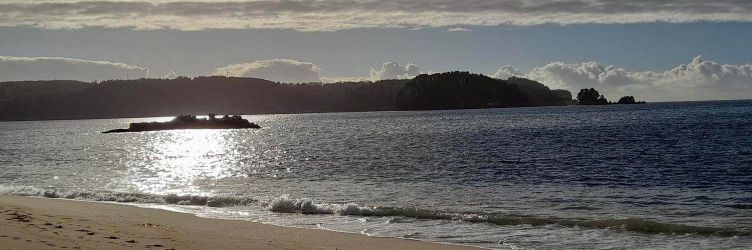 Fernández Carlos ❄ banner