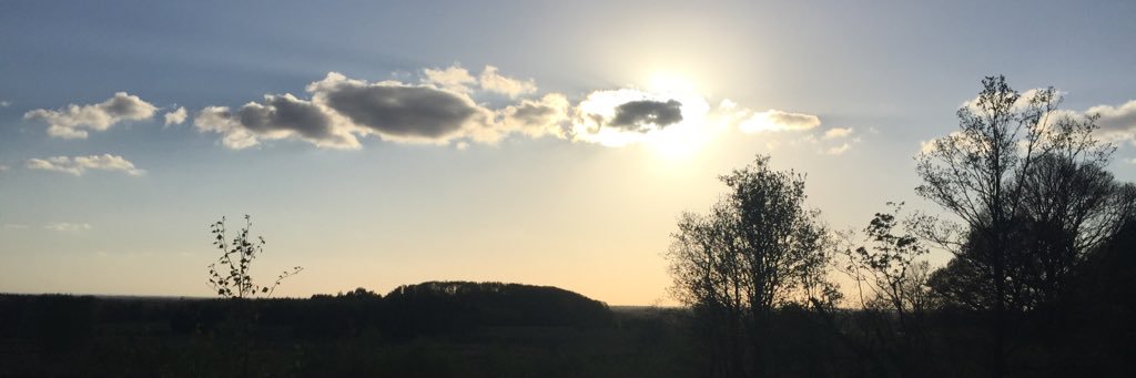 Maurieesss's profile banner image