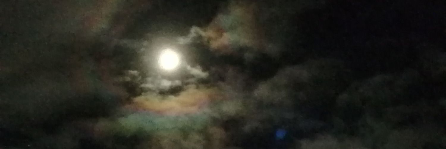 collazosd's profile banner image