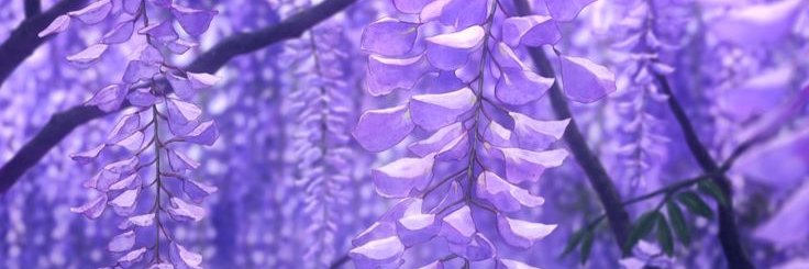 RIEN 👾😈 banner