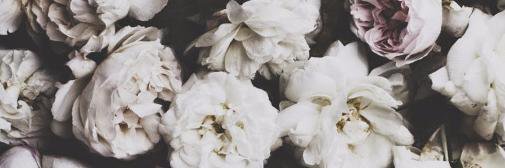 nikki_dubski's profile banner image