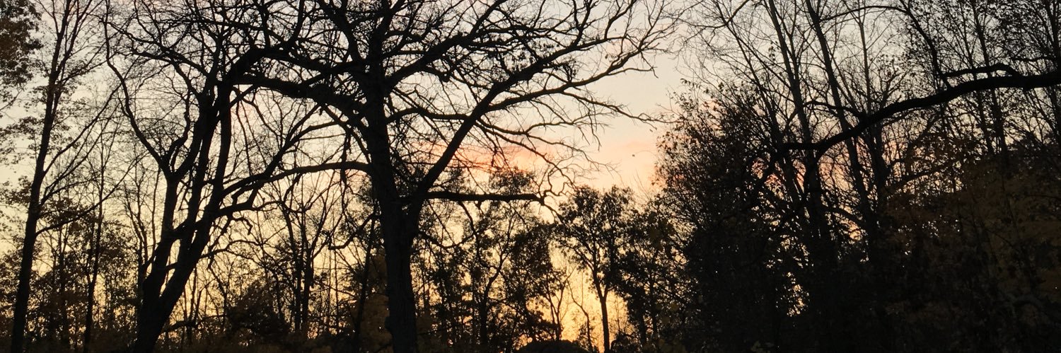 SoulCill_'s profile banner image