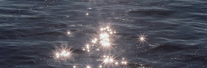 zeyneepdileek's profile banner image