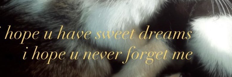 0riginal4ngel's profile banner image