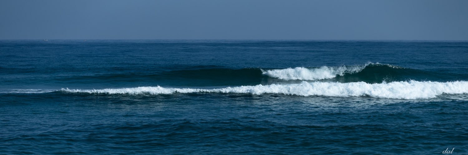UndulatusPado's profile banner image