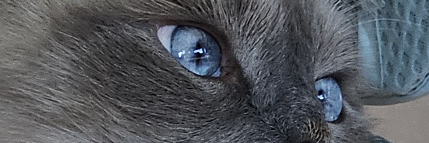 chappy199604's profile banner image