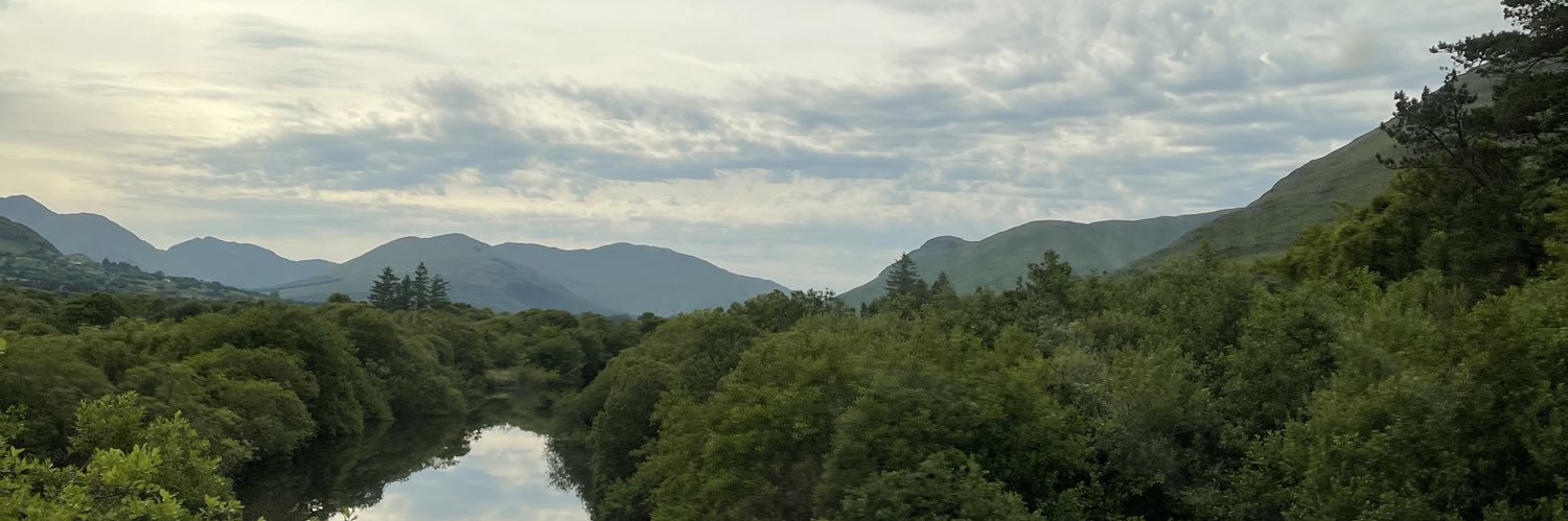 Donna S Kaminsky🇮🇪🏴󠁧󠁢󠁳󠁣󠁴󠁿🇺🇸 banner