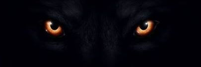 0kamishin's profile banner image