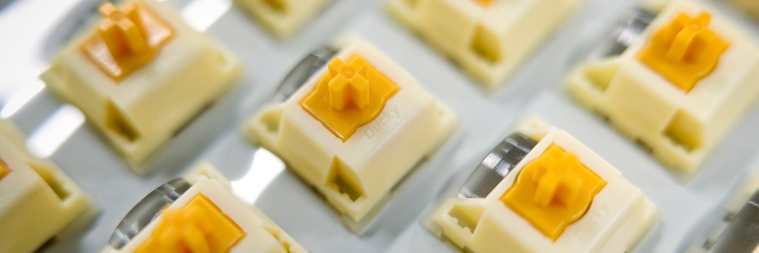 Ducky Channel banner