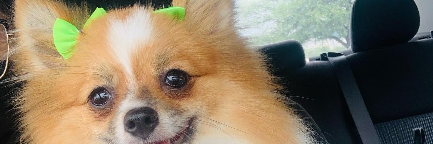 arleth__'s profile banner image