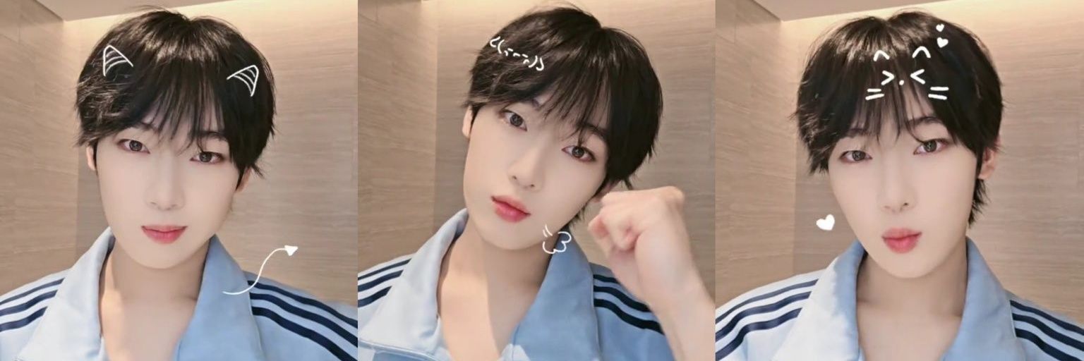 ❅𝚍𝚢𝚢❅🦊🐾 banner