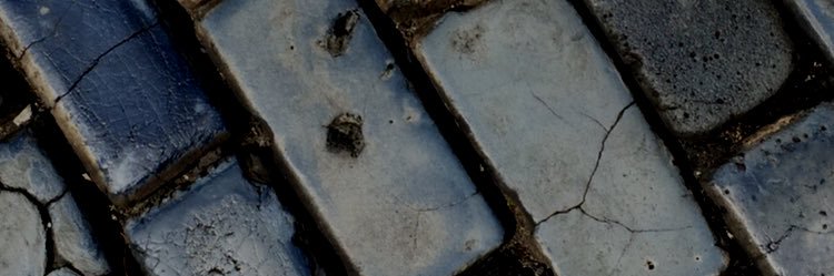 chloe_e_king's profile banner image