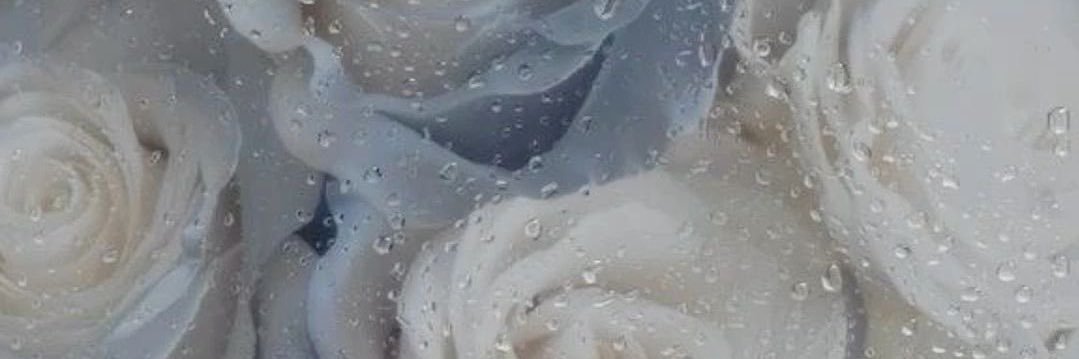 mn_ayrr's profile banner image