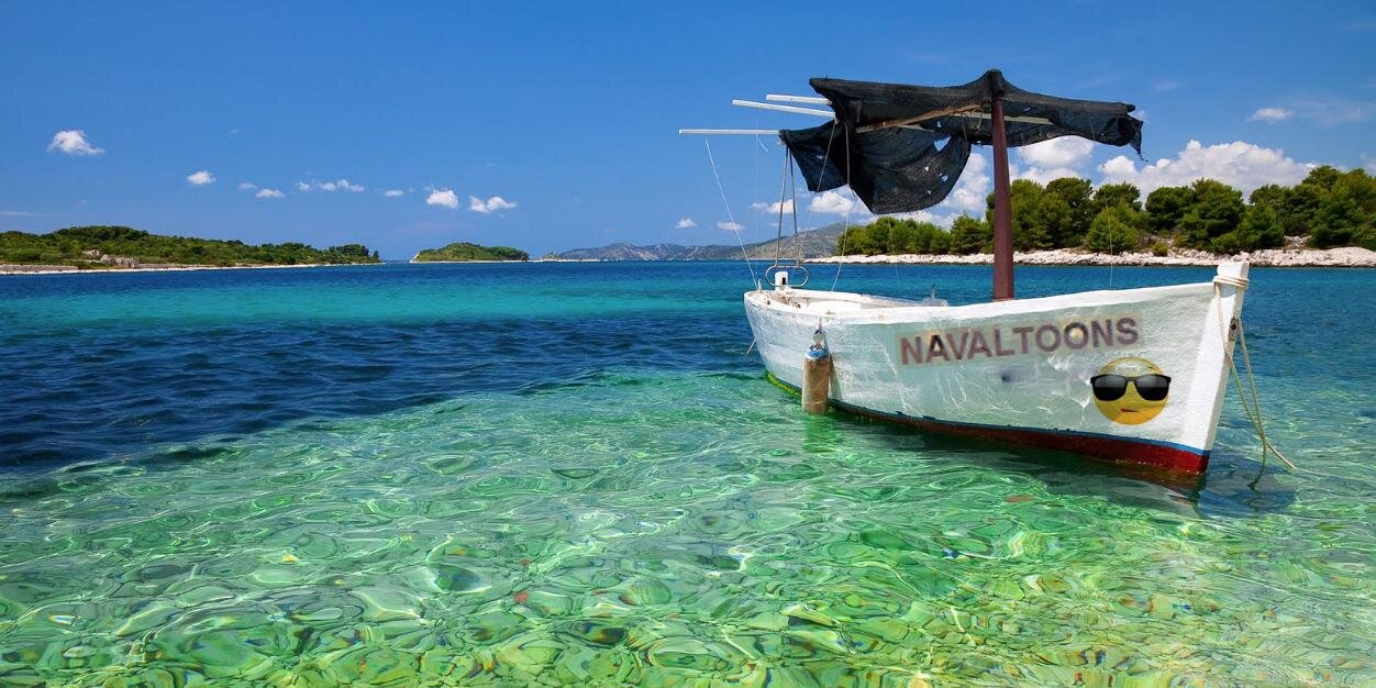 NAVALTOONS® banner
