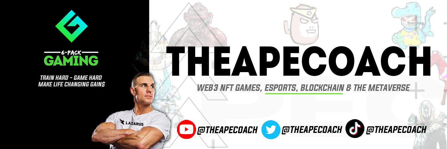theAPEcoach banner
