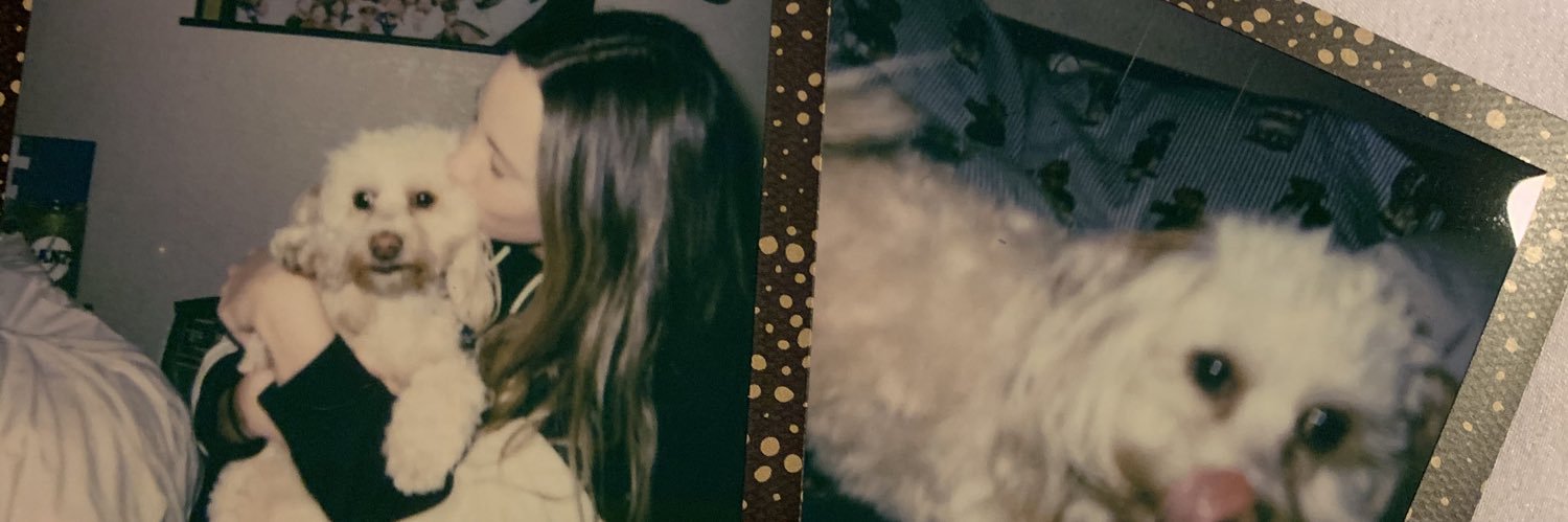 carleebrusaaa's profile banner image
