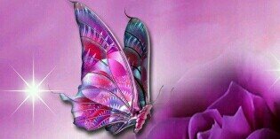 marsharae1231's profile banner image