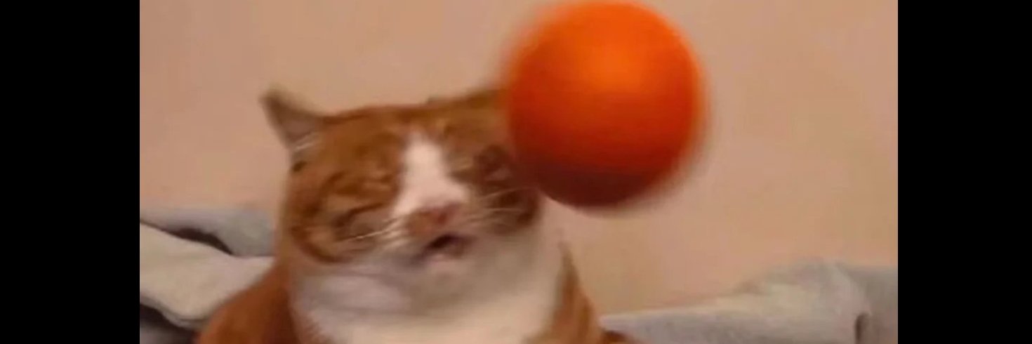 🍊fnatic hostage banner